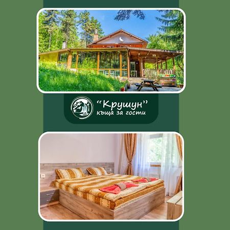 Крушун - Единствена На Метри От Водопадите, Krushun - The Only Stay Just Meters From The Waterfalls クルシュナ エクステリア 写真